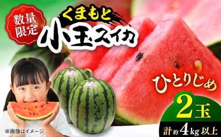 【先行予約】【初夏に実った贈り物】 小玉 スイカ 約4?4.5kg以上【なかむら農園】[ZBH004]