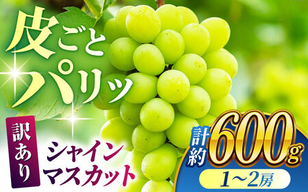 [訳あり]シャインマスカット 約600g(1〜2房)[合同会社 社方園]