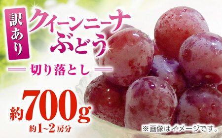 訳あり クイーンニーナ ぶどう 切り落とし 約700g  【合同会社 社方園】[ZBZ039]
