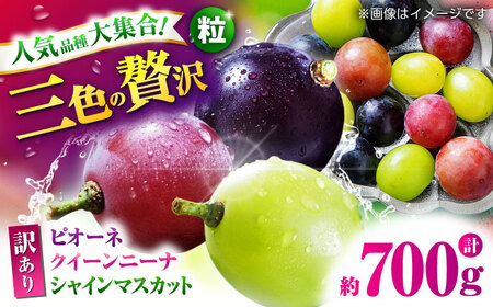 ys\z 󂠂 Ԃǂ3 Hה ؂藎Ƃ v700g  y Еz[ZBZ040]