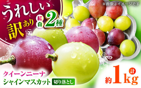 ys\z 󂠂 gԂǂ2iVC}XJbgNC[j[ijHה ؂藎Ƃ v1kg  y Еz[ZBZ041]
