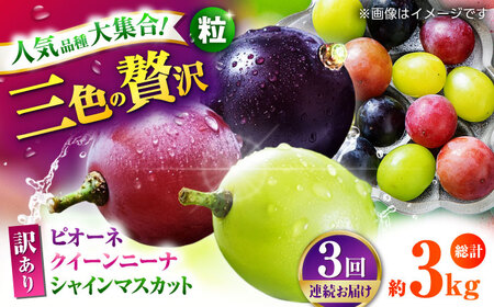 ys\zy3ցz 󂠂 ႤԂǂ͂I Ԃǂ3 Hה ؂藎Ƃ 1kg  y Еz[ZBZ049]