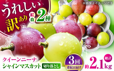 ys\zy3ցz 󂠂 1ނ͂I gԂǂ2 Hה ؂藎Ƃ 700g  y Еz[ZBZ050]