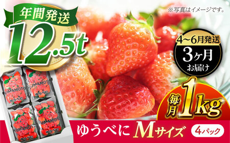 [3月より発送開始] [3回定期便] いちご Mサイズ ゆうべに 1kg(4pc)[熊本ベリー]