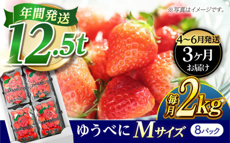 [3月より発送開始] [3回定期便] いちご Mサイズ ゆうべに 2kg(8pc)[熊本ベリー]