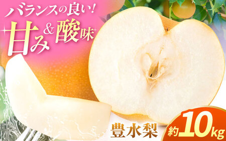 ys\zL@10kg   iV t[c ʕ y{t[cЁz [ZFJ014]