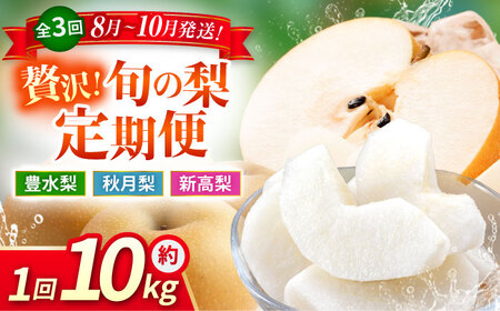 ys\zy3ցz  10kg v30kgiLEHEVj   iV t[c ʕ y{t[cЁz [ZFJ025]