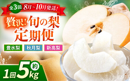 ys\zy3ցz  5kg v15kgiLEHEVj   iV t[c ʕ y{t[cЁz [ZFJ024]