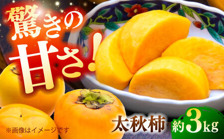 ys\zH` 3kg ` JL t[c ʕ H y{t[cЁz [ZFJ020]