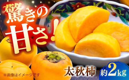 ys\zH` 2kg ` JL t[c ʕ H y{t[cЁz [ZFJ021]