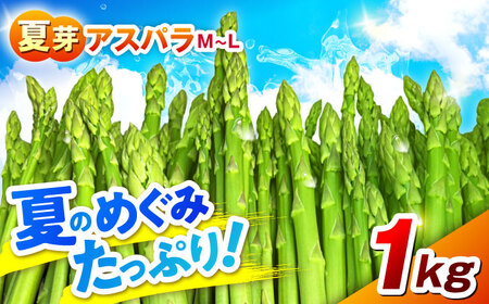 [先行予約] 山鹿市産 いけだ農園のアスパラガス 夏芽(MからLサイズ) 約1kg[いけだ農園]