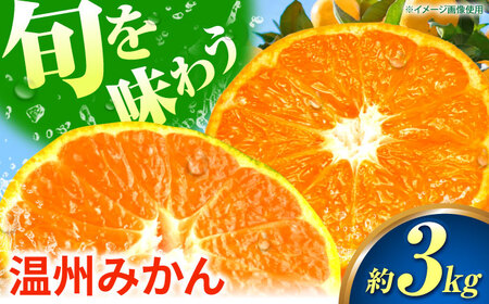 ys\z B݂ 3kg ɑ   Ӑ ݂ yrc_z[ZEX005]