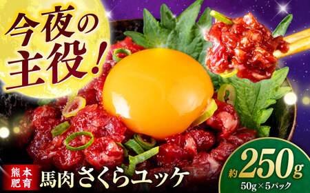 n烆bP 250g ( 50g × 5 j yЁ@t[Yz[ZFR017]