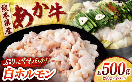   z 500g (250g×2P) yЁ@t[Yz[ZFR049]