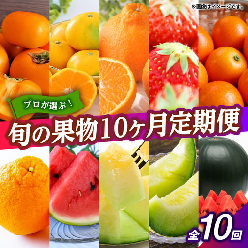 【先行予約】フルーツ10ヶ月定期便　10月～7月　ZBG078