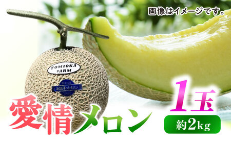 [先行予約]年内発送 愛情 メロン 1玉[とみおか農園]