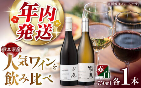 [年内発送は12月21日ご入金分まで!] 菊鹿シャルドネ&山鹿マスカットベーリーA2024 ワイン2本セット 化粧箱付[菊鹿ワイナリー]