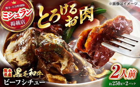 熊本県産 黒毛和牛 こだわりのビーフシチュー 計2パック (約250g×2パック) ビーフシチュー ビーフ シチュー 牛肉 肉 [有限会社スイートサプライなかぞの]