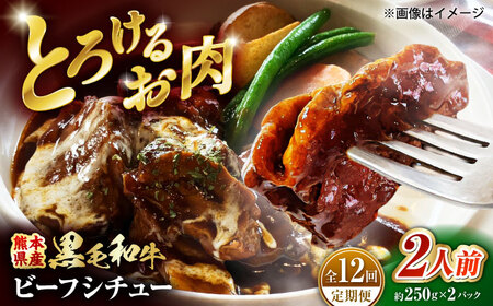 【全12回定期便】 熊本県産 黒毛和牛 こだわりのビーフシチュー 計2パック （約250g×2パック） ビーフシチュー ビーフ シチュー 牛肉 肉 　【有限会社スイートサプライなかぞの】[ZBV110]