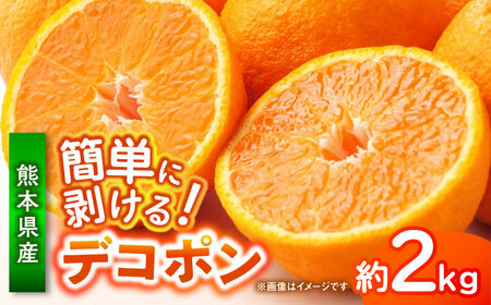 デコポン 約2kg 柑橘 みかん 蜜柑 熊本 フルーツ 果物 [日本フルーツ株式会社]