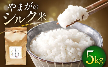 ܂VN 5kgy ܂z[fBOX NSPRHz[ZBR040]