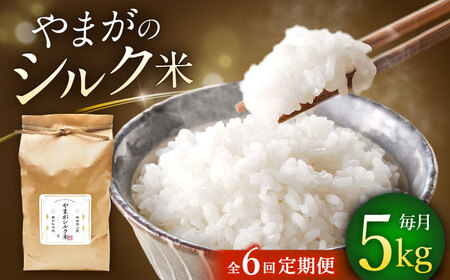 yS6ցz܂VN 5kgy ܂z[fBOX NSPRHz[ZBR041]