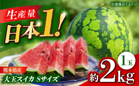 [先行予約] 大玉スイカ Sサイズ 1玉入り 約2kg すいか 小玉 熊本 フルーツ 野菜 果物 [日本フルーツ株式会社]