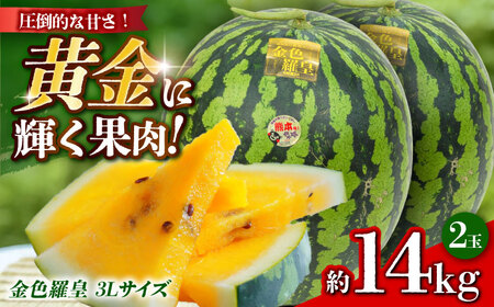 [先行予約] 金色羅皇 スイカ 3Lサイズ 2玉 約14kg すいか 黄色 熊本 フルーツ 野菜 果物 [日本フルーツ株式会社]