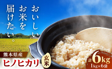  ヒノヒカリ　玄米6kg（1kg×6袋） 【株式会社　岩下農園】[ZFS004]