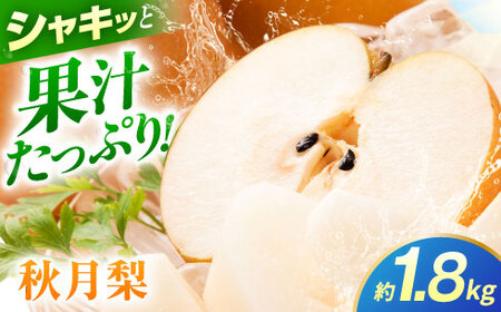 [先行予約]秋月梨 約1.8kg 梨 ナシ フルーツ 果物 [日本フルーツ株式会社]