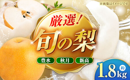 [先行予約]厳選おまかせ梨 約1.8kg 梨 豊水梨 秋月梨 新高梨 果物 フルーツ [日本フルーツ株式会社]