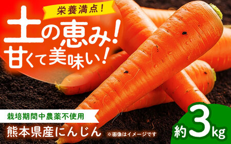 [先行予約]にんじん 約3kg 天日塩&発酵土壌で作ったこだわりの人参 [株式会社 夢アグリ]