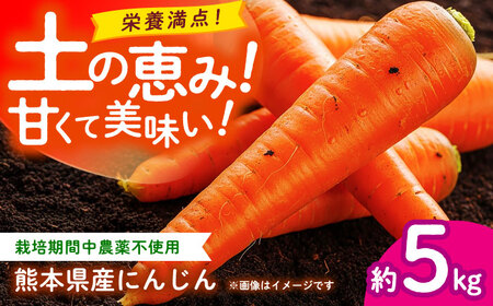 �y��s�\��z�ɂ񂶂� ��5kg �V���������y�y��ō�����������̐l�Q �y������� ���A�O���z[ZCL019]