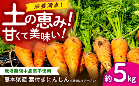 �y��s�\��z�t�t���ɂ񂶂� ��5kg�@�V���������y�y��ō�����������̐l�Q �y������� ���A�O���z[ZCL021]