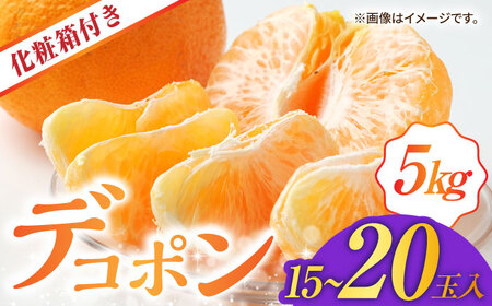 �y��s�\��z�f�R�|�� ��5kg �i15�`20�ʁj���ϔ�����y���{�_�Ƌ����g���z[ZAG015]