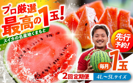 �y��s�\��z �y2�����ցz ��ʃX�C�J�I4L�`5L�T�C�Y�i1�� ��9kg�`11kg�j�@2��ފy���߂�I 1�ʓ����2�񂨓͂��I �y���_���z[ZFV007]