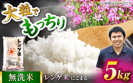 [令和7年度産米] 天然の栄養で実った おいしい一粒 レンゲ栽培 にこまる 無洗米 5kg 山鹿 お米 [ひなたのお米と野菜 大嶋]