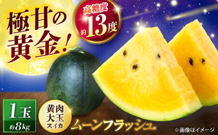[先行予約] 山鹿の恵み! 匠の育てたムーンフラッシュ 大玉スイカ(約8kg前後×1玉)[きもと農園]