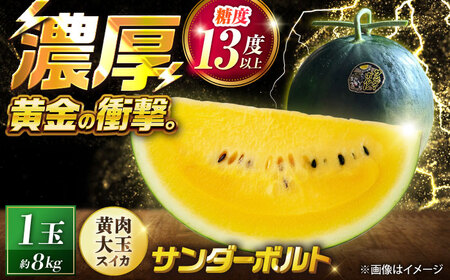 [先行予約] 山鹿の恵み! 匠の育てたサンダーボルト 大玉スイカ(約8kg前後×1玉)[きもと農園]