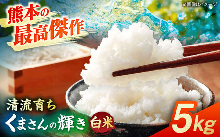 [先行予約]くまさんの輝き 5kg 白米 山鹿市産[奥村果実園]