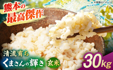 [先行予約]くまさんの輝き 30kg 玄米 山鹿市産[奥村果実園]