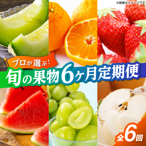 【先行予約】フルーツ6ヶ月定期便　【3月～8月】【くまふる】[ZBG084]