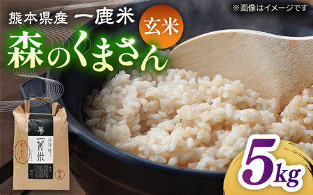 〈令和7年度産米〉 【天日塩を使用】一鹿米 森のくまさん  玄米5kg 【株式会社 夢アグリ】[ZCL025]