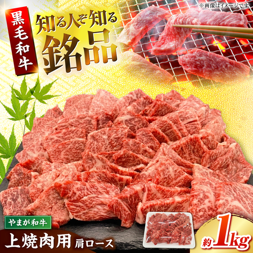 やまが和牛 上焼き肉用 1kg 黒毛和牛 和牛 牛肉 お肉 肉 焼肉 【鹿本農業協同組合】[ZAG016]
