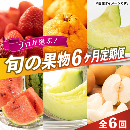 【先行予約】【全6回定期便】 プロが選ぶ！ 旬 の 果物 6ヶ月 定期便【くまふる】[ZBG085]