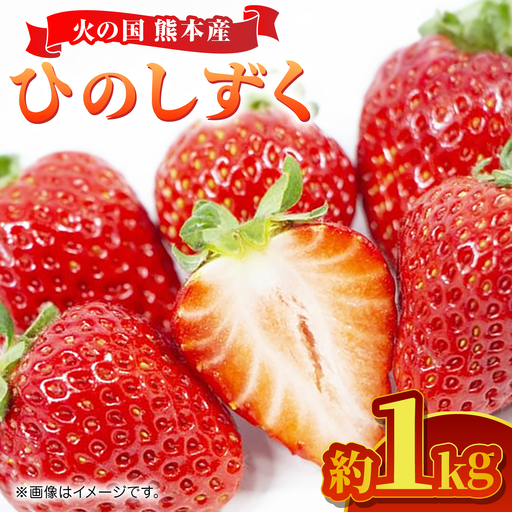 【先行予約】 ひのしずく 約1kg 【くまふる】[ZBG087]