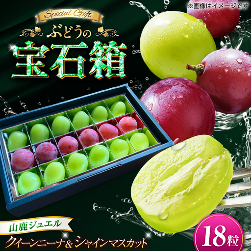 山鹿ジュエル 18粒 ぶどう クイーンニーナ シャインマスカット 高級 贈答用 贈り物 ギフト 熊本県産 熊本 山鹿[合同会社 社方園]