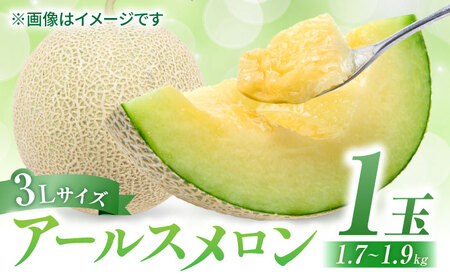 [先行予約]アールスメロン 約1.7kg〜1.9kg (3Lサイズ1玉入り)[鹿本農業協同組合]