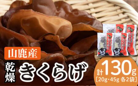 乾燥 きくらげ セット 45g×2袋、20g×2袋【株式会社 地の塩社】[ZAN001]