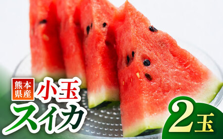 [先行予約]小玉 スイカ 2玉入り[くまふる]